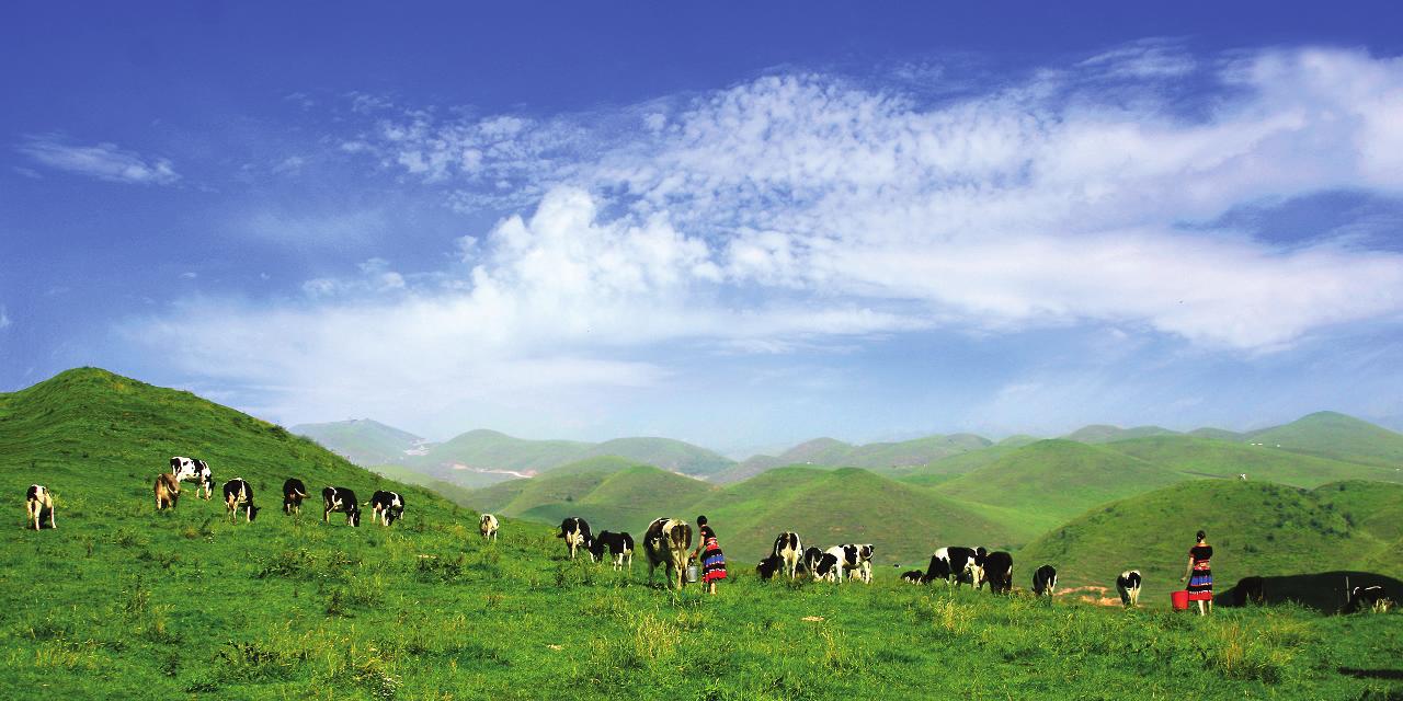 一步之城，萬種風情 ——《城步苗族自治縣旅游產業發展總體規劃及重點景區概念性規劃》