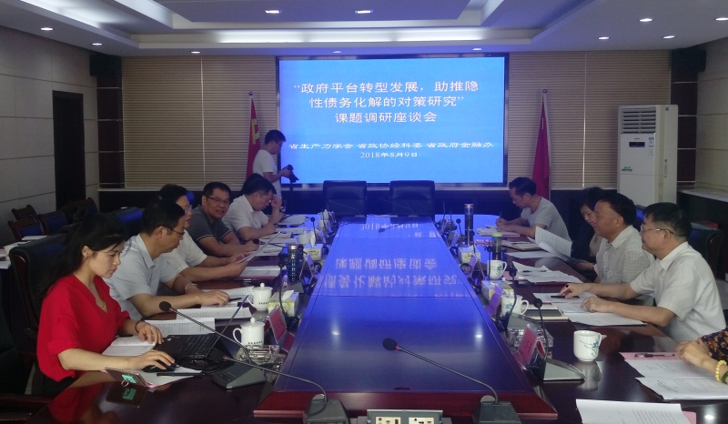 北冰院長參與“政府平臺轉型發展,助推隱性債務化解的對策研究”課題調研座談會