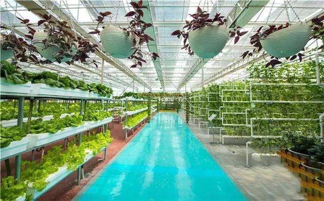 微信圖片_20200207101215.jpg 微信圖片_20200207101215.jpg