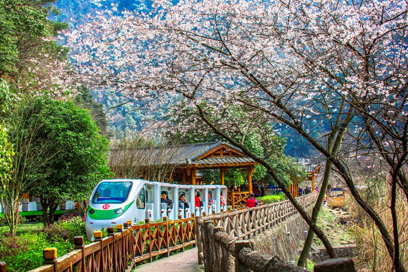 十里畫廊觀光電車_副本.jpg 十里畫廊觀光電車_副本.jpg