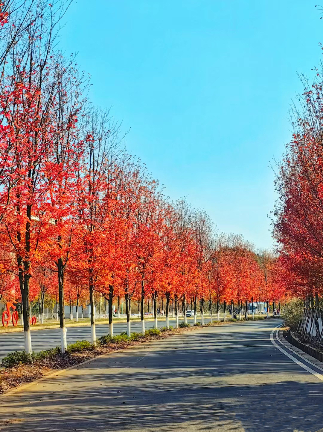 已使用 益陽網紅大道，圖源于紅網.jpg