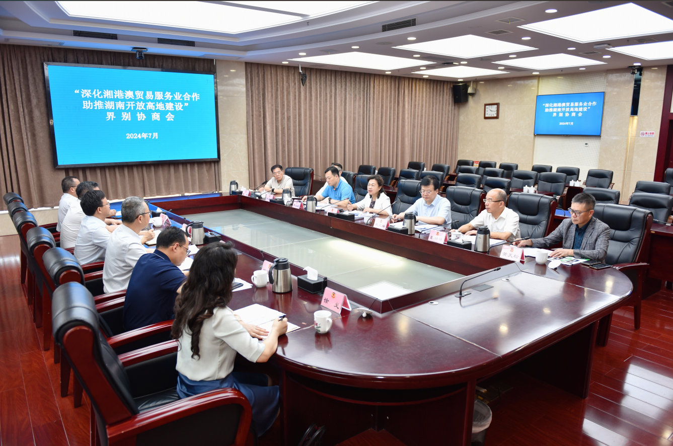 北冰建言：以科技合作為抓手，助推湘港澳服務貿易發展