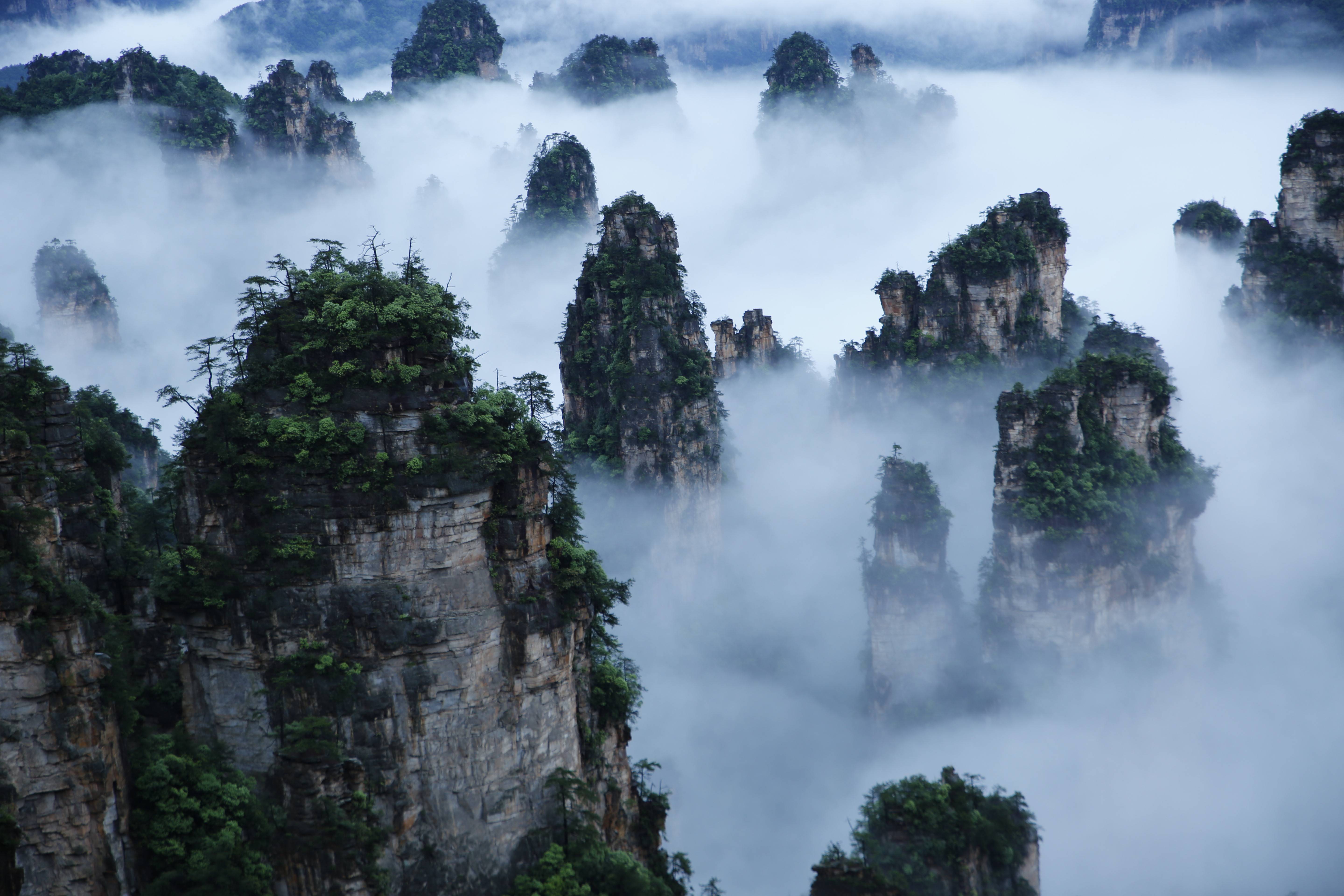武陵源景區天子山云海，圖源：湖南日報.jpeg